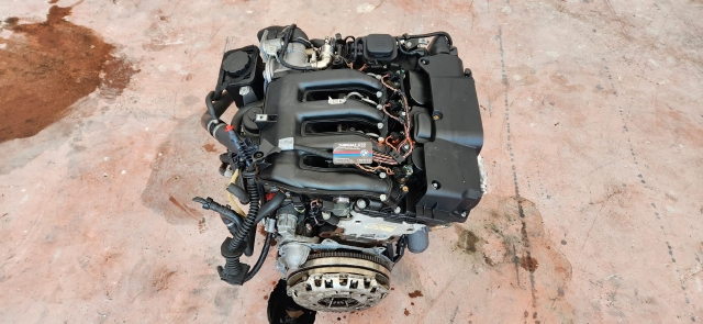 B38 MOTOR