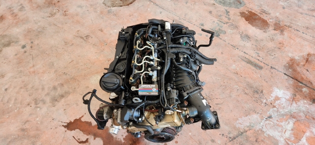 M44 MOTOR